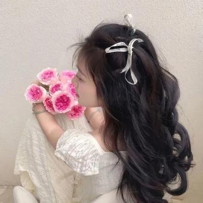 蜻蜓不是昆虫
