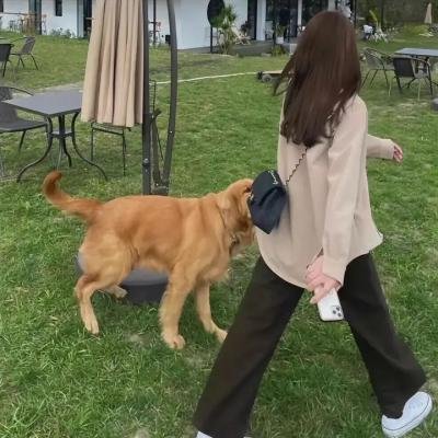 总统的女儿